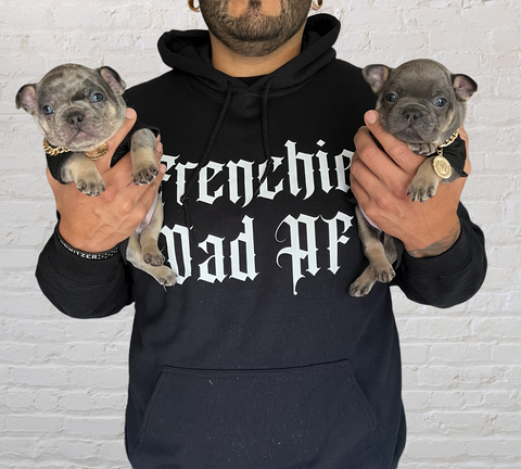 Frenchie Dad gear