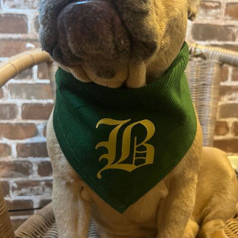 Emerald green corduroy bandana