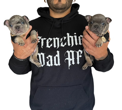 Frenchie Dad AF hoodie